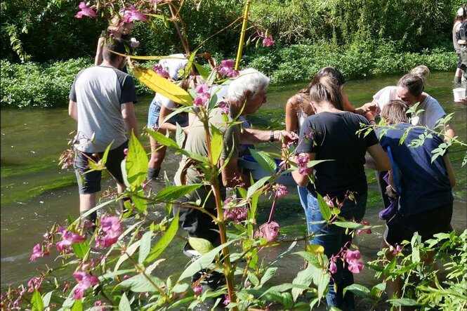 Sortie de biologie animale en rivière